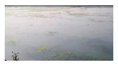 秋冬水產(chǎn)養(yǎng)殖