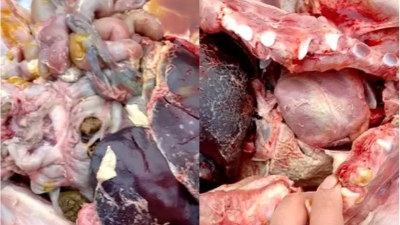 “小病”副豬，惹出的大麻煩！試試上海邦森提供的用藥方案