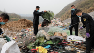 打假3.15！農(nóng)業(yè)執(zhí)法在行動(dòng)，集中銷毀假冒獸藥3000余盒