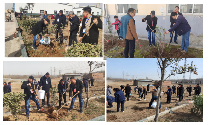 植樹活動(dòng)1