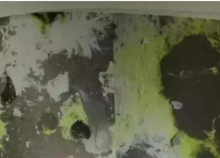 鴿沙門(mén)氏菌癥狀